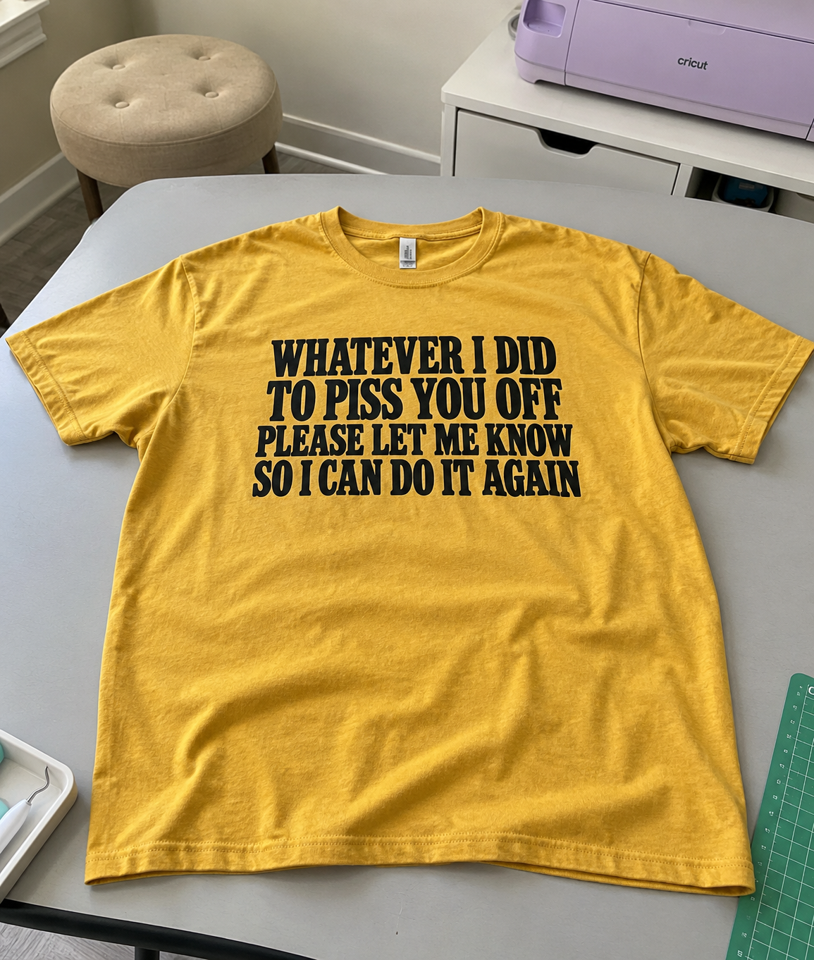 Whatever I Did To Piss You Off Please Let Me Know So I Can Do It Again T-Shirt