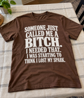 Someone Just Called Me A Bitch I Needed That I Was Starting To Think I Lost My Spark T-Shirt