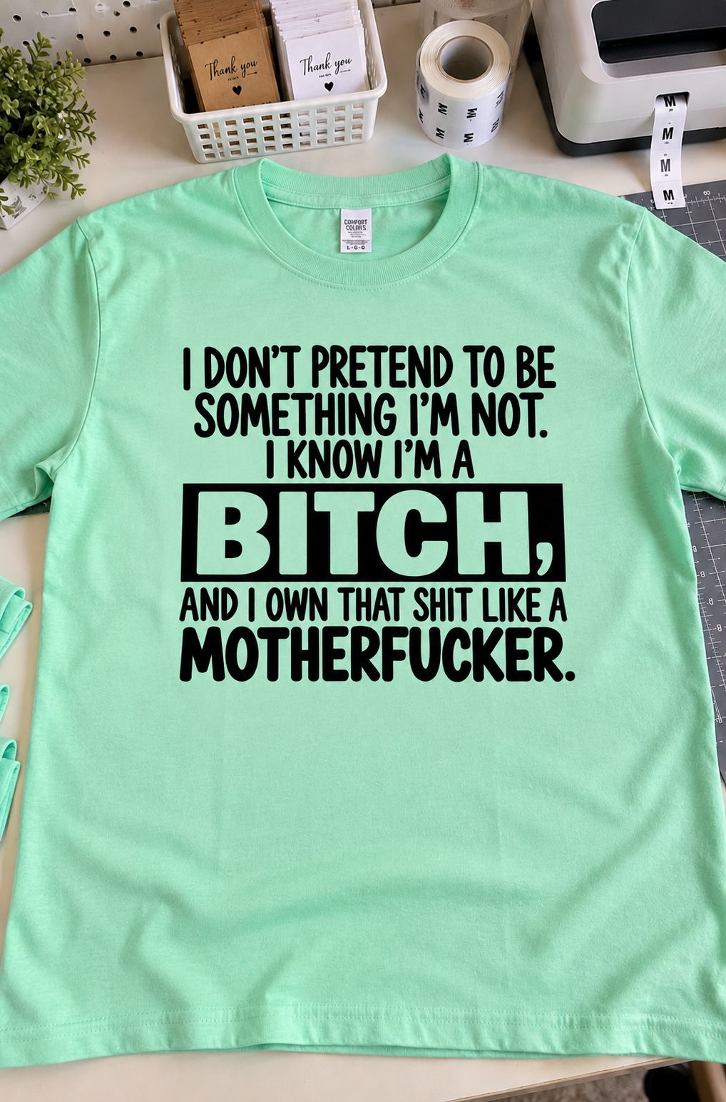 I'm A Bitch And I Own That Shit T-Shirt