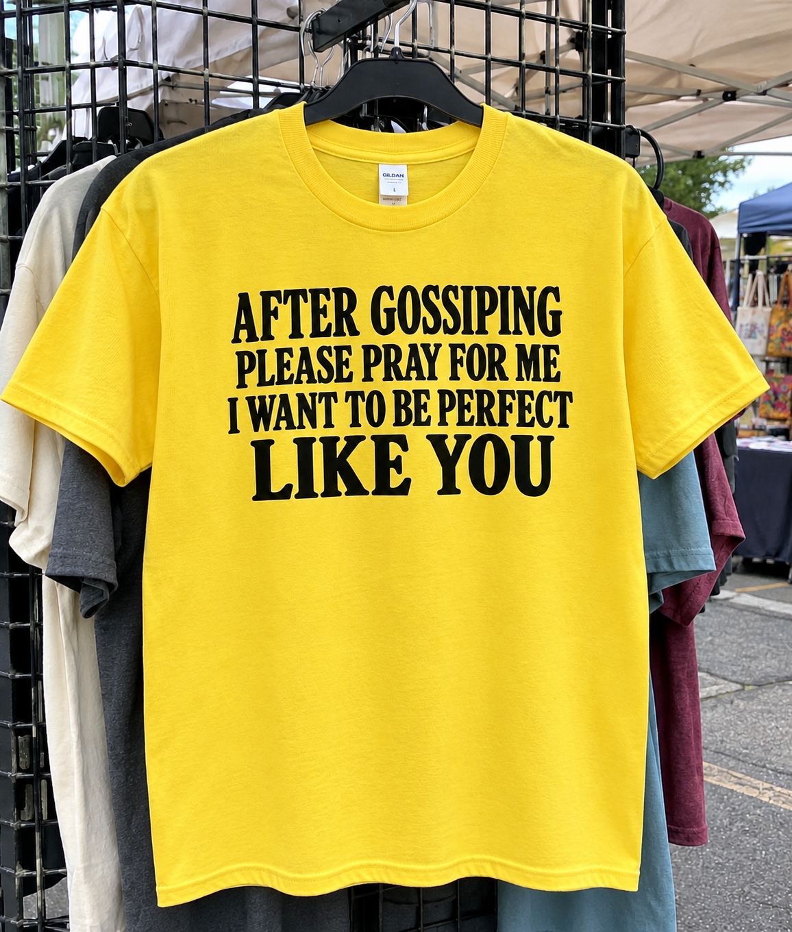 After Gossiping, Please Pray For Me I Want To Be Perfect Like You T-Shirt