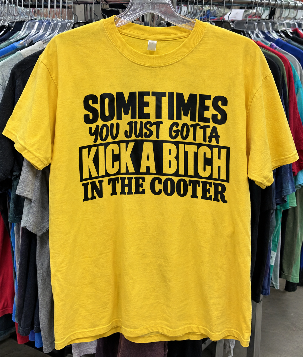 Sometimes You Just Gotta Kick A Bitch In The Cooter T-Shirt