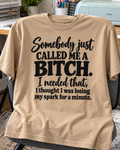 Somebody Just Called Me A Bitch I Needed That I Thought I Was Losing My Spark For A Minute T-Shirt