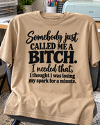Somebody Just Called Me A Bitch I Needed That I Thought I Was Losing My Spark For A Minute T-Shirt
