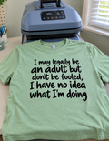 I May Be An Adult But I Have No Idea What I'm Doing T-Shirt