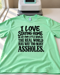 I Love Staying Home In My Own Little World The Real World Has Way Too Many Assholes T-Shirt