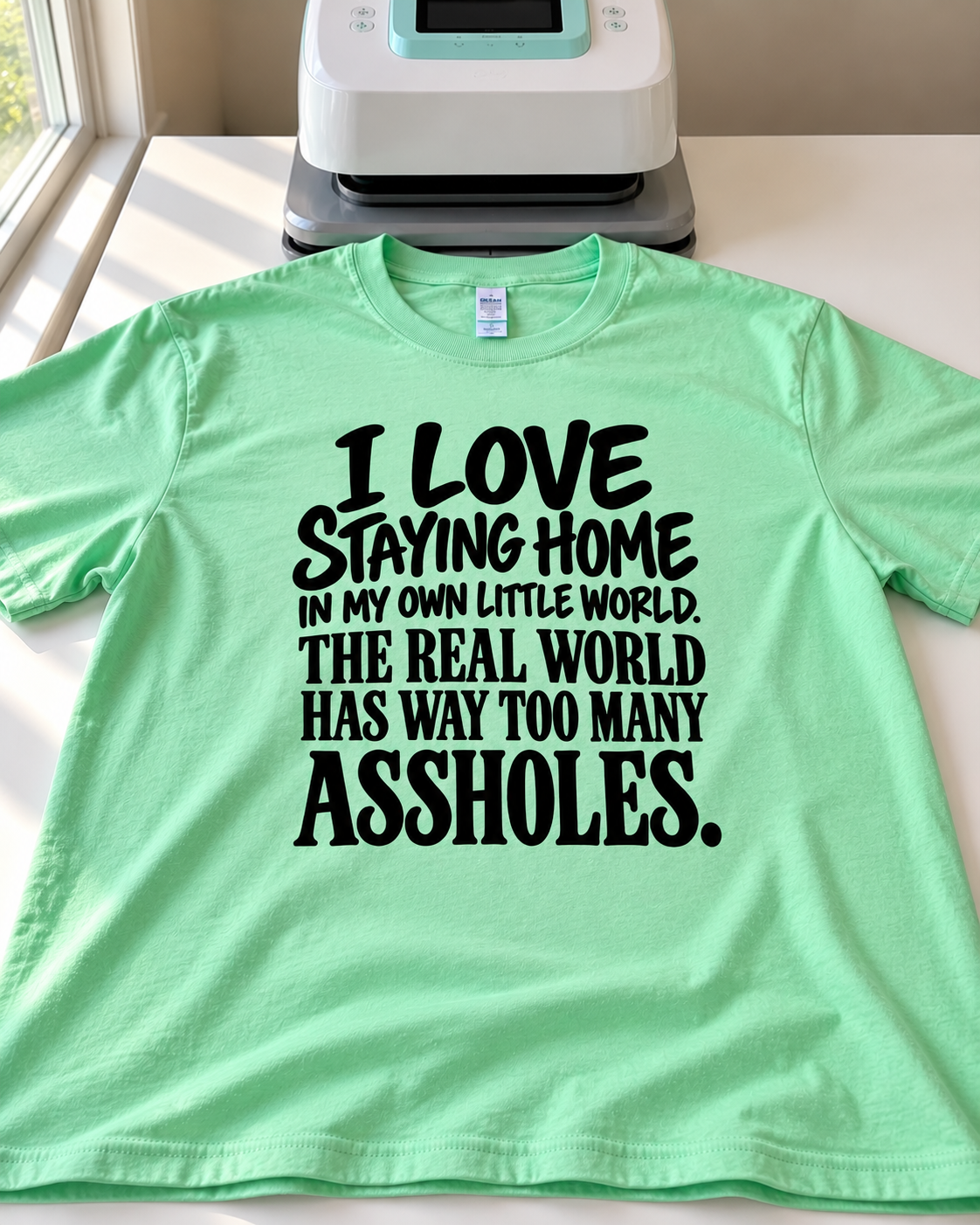 I Love Staying Home In My Own Little World The Real World Has Way Too Many Assholes T-Shirt