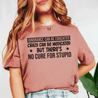 Ignorance Can Be Educated, Crazy Can Be Medicated But There’s No Cure for Stupid T-Shirt